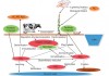 Huan Le- Effects of mulch, nitrogen, sowing date and intercropping on maize production