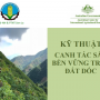 Kỹ thuật canh tác sắn bền vững trên đất dốc