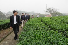 Đoàn công tác Viện Khoa học nông nghiệp Việt Nam thăm và làm việc tại Viện KHKT nông lâm nghiệp miền núi phía Bắc