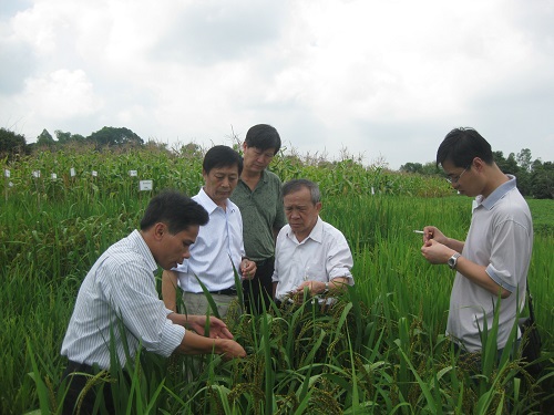 Kết quả nghiên cứu áp dụng các biện pháp kỹ thuật nâng cao hiệu quả sử dụng đất ruộng một vụ vùng miền núi phía Bắc Kết quả nghiên cứu áp dụng các biện pháp kỹ thuật nâng cao hiệu quả sử dụng đất ruộng một vụ vùng miền núi phía Bắc