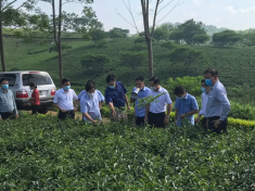 Đoàn công tác của Bộ Nông nghiệp & PTNT và UBND tỉnh Lào Cai thăm vào làm việc tại Viện KHKT nông lâm nghiệp miền núi phía Bắc