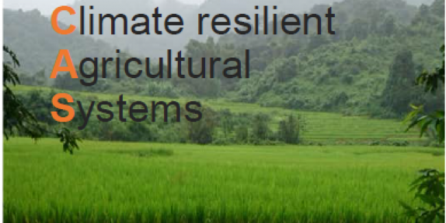 EFICAS project (GCCA): Innovative landscape approaches can tackle complex upland development challenges