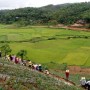Làng Nông Thuận Thiên - Tên gọi chính thức cho các mô hình làng thích ứng thông minh với biến đổi khí hậu (CSV) tại Việt Nam
