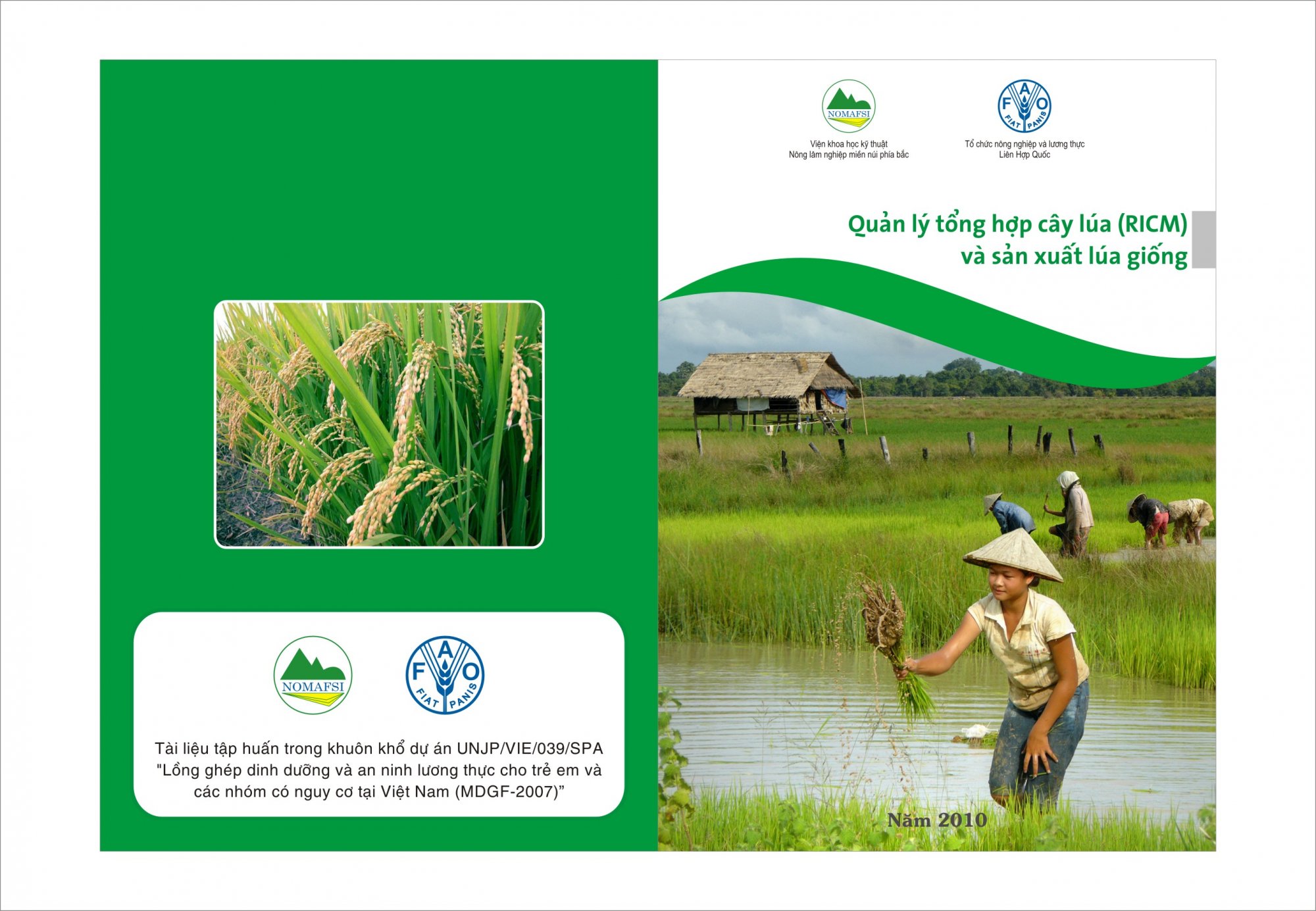 Tài liệu kỹ thuật: Quản lý tổng hợp cây lúa (RICM) và Sản xuất lúa giống