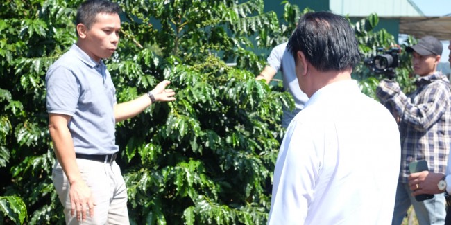 Bộ trưởng Lê Minh Hoan thăm vườn khảo nghiệm giống cà phê mới của Viện KHKT NLN miền núi phía Bắc tại Công ty Cà phê Detech