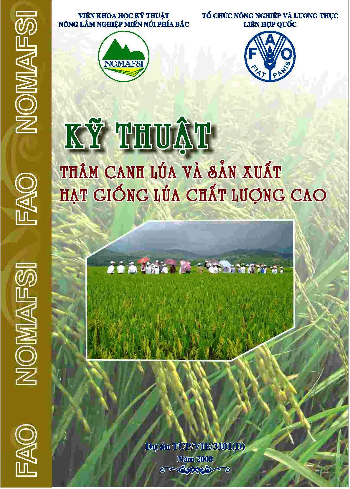 Dự án FAO TCP/VIE/3101 (D) Quy trình thâm canh lúa và sản xuất hạt giống chất lượng cao