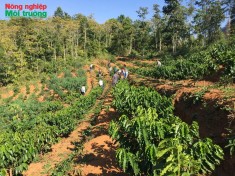 20 năm bền bỉ với núi đồi – Kiến tạo nền nông nghiệp sinh thái miền núi phía Bắc