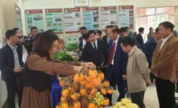 Hội thảo KHCN - Thúc đẩy KHCN phục vụ phát triển nông nghiệp bền vững vùng trung du miền núi phía Bắc