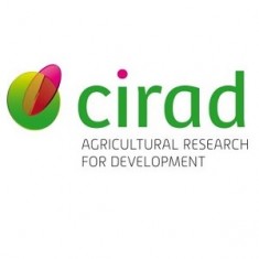 cirad.jpg